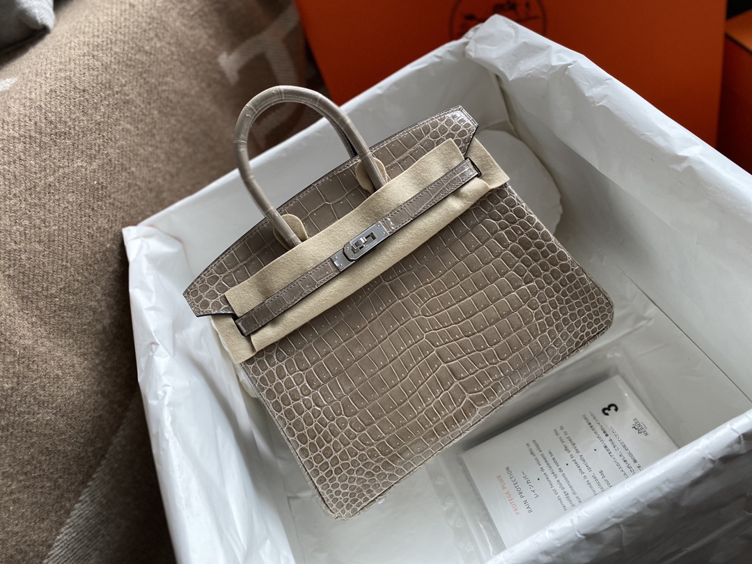 Hermes Birkin Bags Handbags Grey Turtle Dove Silver Hardware