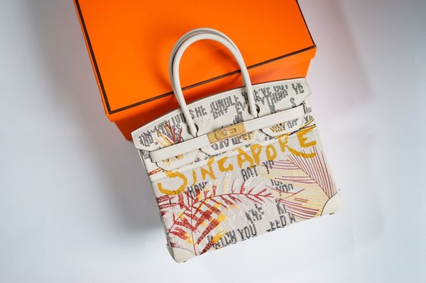 Hermes Birkin Bags Handbags Doodle Platinum Embroidery