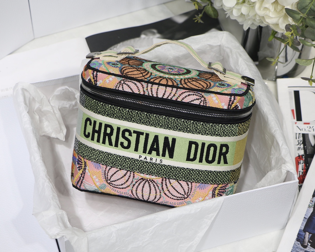 Dior in Lights Embroidered Handbag Shoulder Strap Zipper Storage Bag