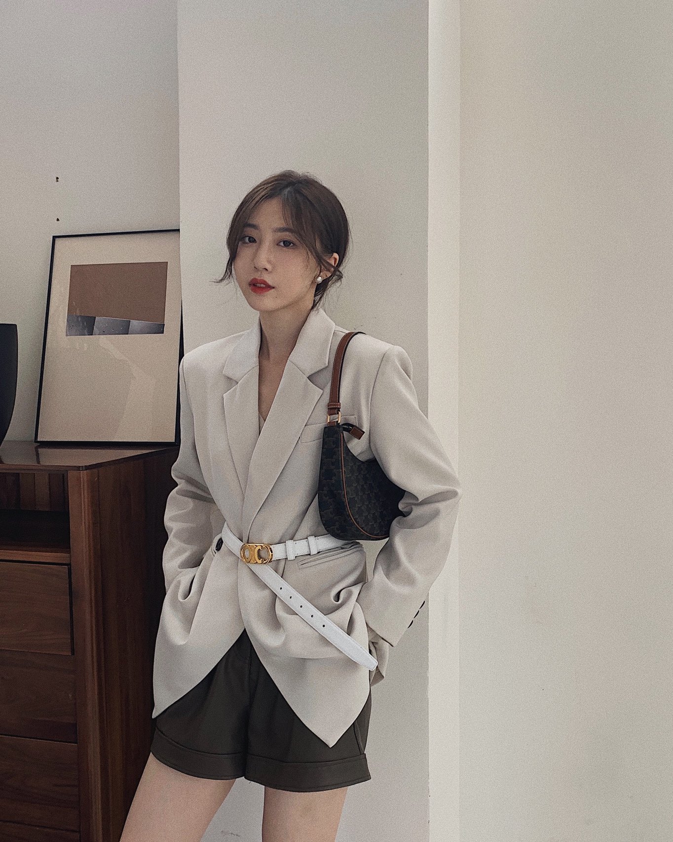 CELINE AVA 老花Ttiomphe腋下包 193952