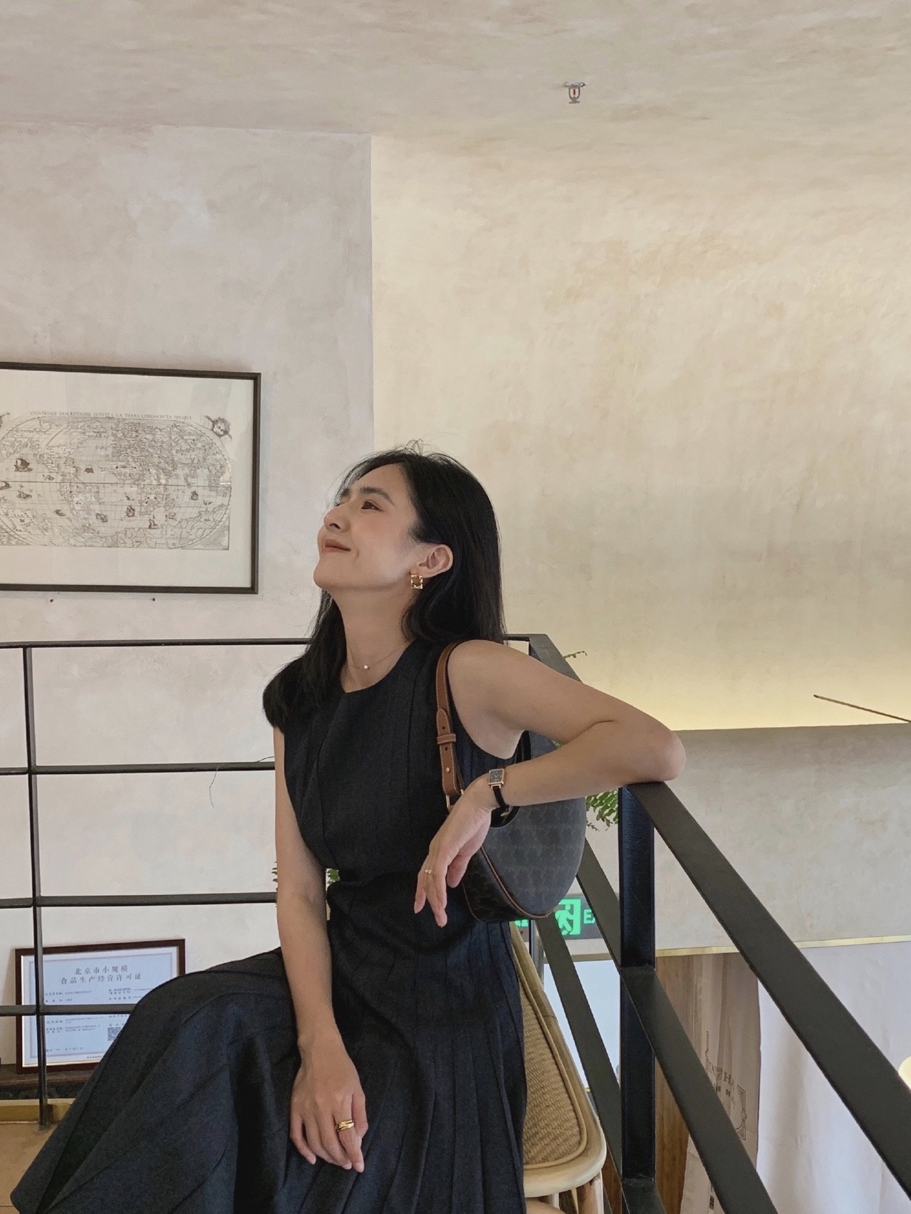 CELINE AVA 老花Ttiomphe腋下包 193952