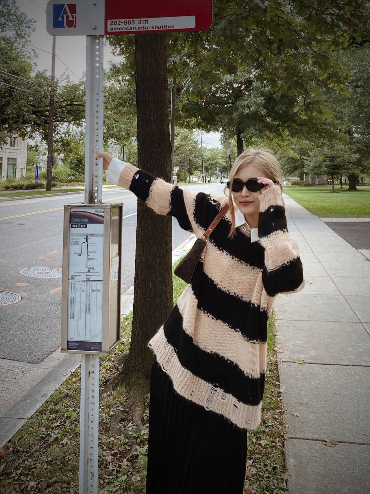 CELINE AVA 老花Ttiomphe腋下包 193952