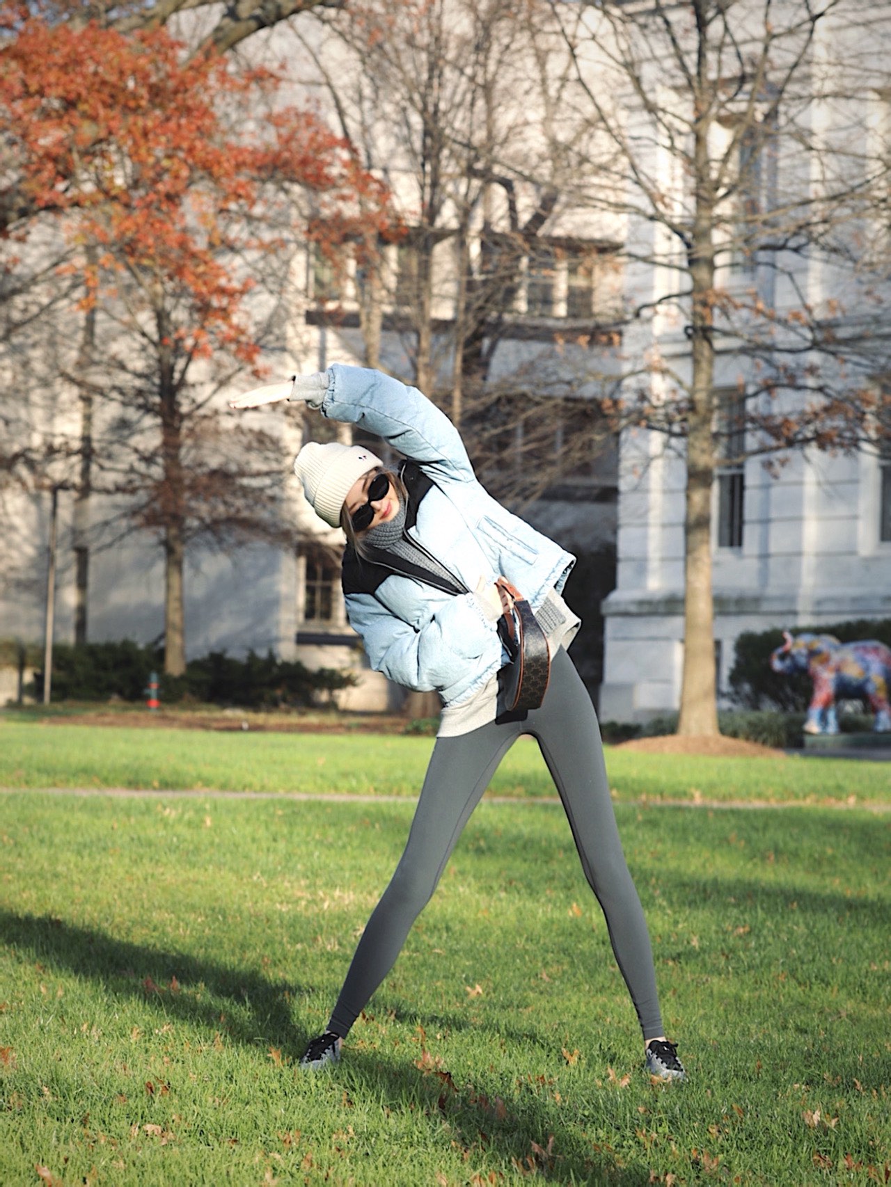 CELINE AVA 老花Ttiomphe腋下包 193952