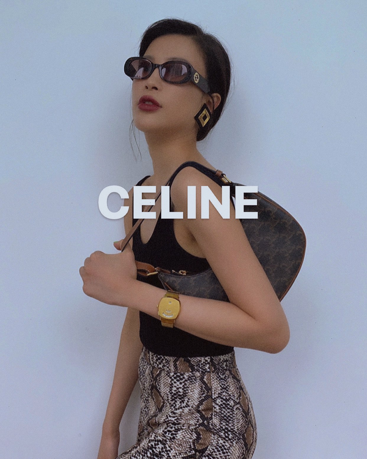 CELINE AVA 老花Ttiomphe腋下包 193952