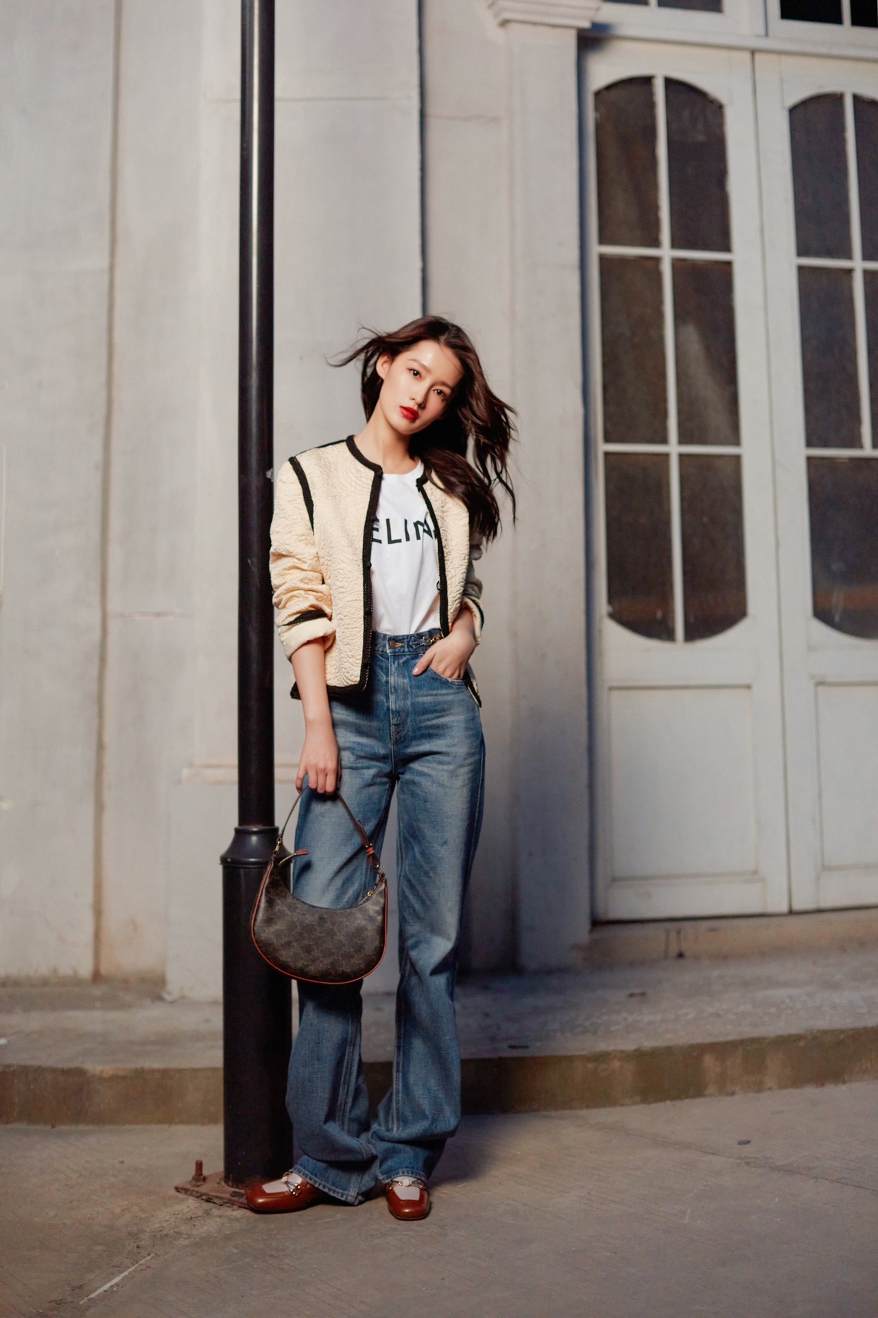 CELINE AVA 老花Ttiomphe腋下包 193952