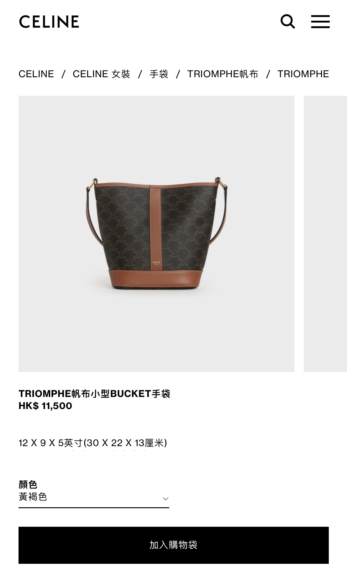 CELINE SMALL BUCKET BAG 191442老花