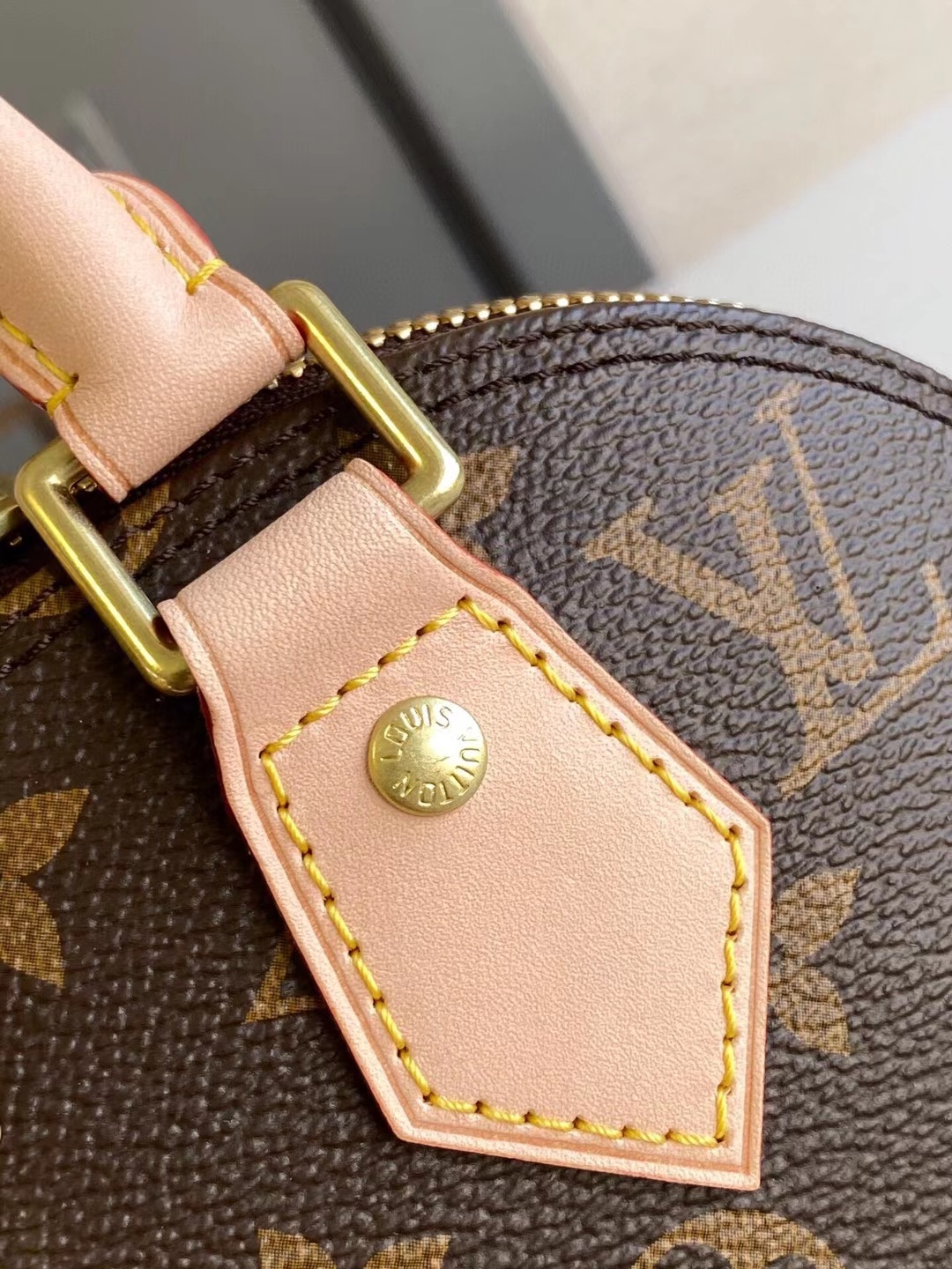 Louis Vuitton Luxury Handbag Collection 6