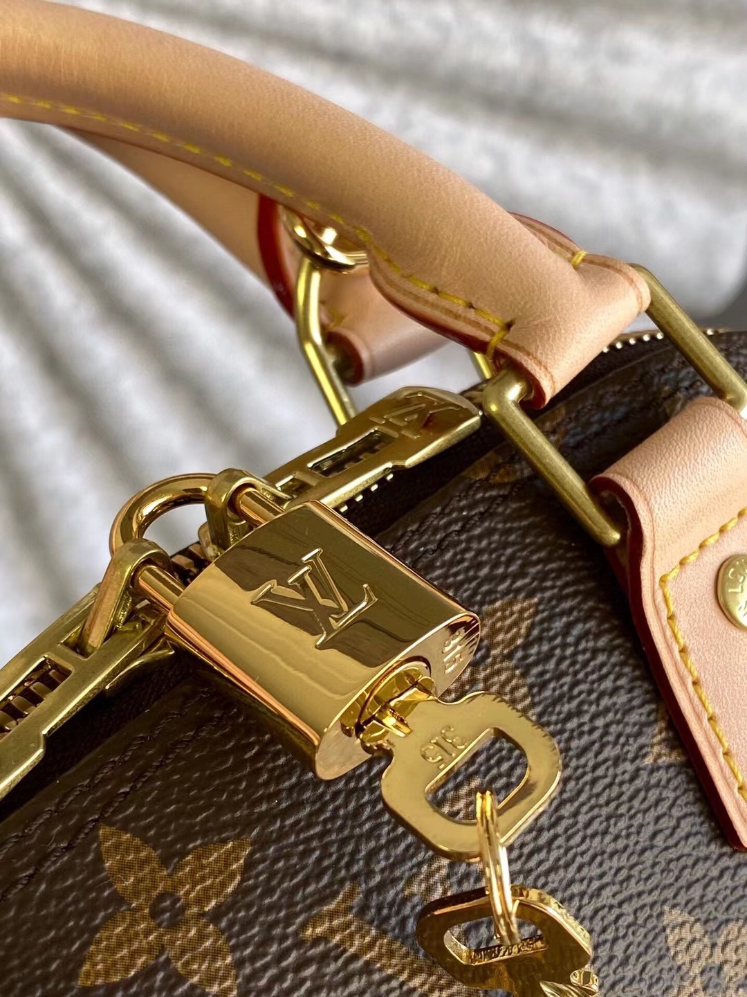 Louis Vuitton Luxury Handbag Collection 7
