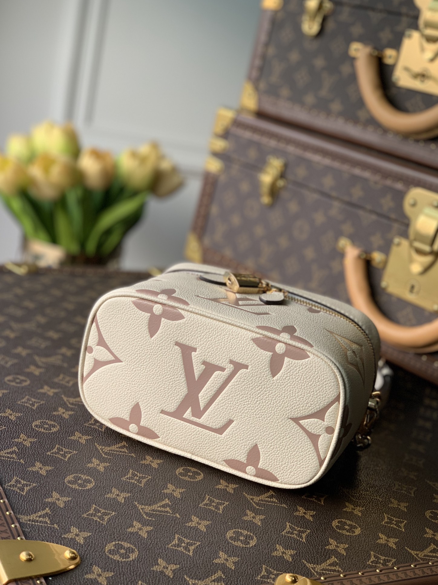 Louis Vuitton LV Vanity PM 化妆包 M45599奶白色