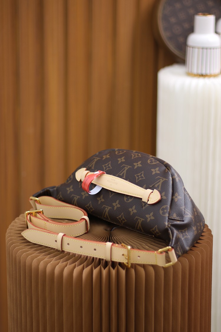 Louis Vuitton LV Bumbag老花腰包 M43644