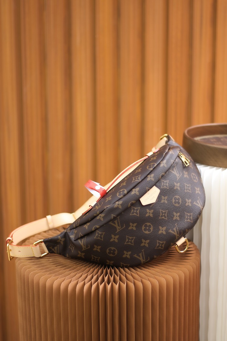 Louis Vuitton LV Bumbag老花腰包 M43644