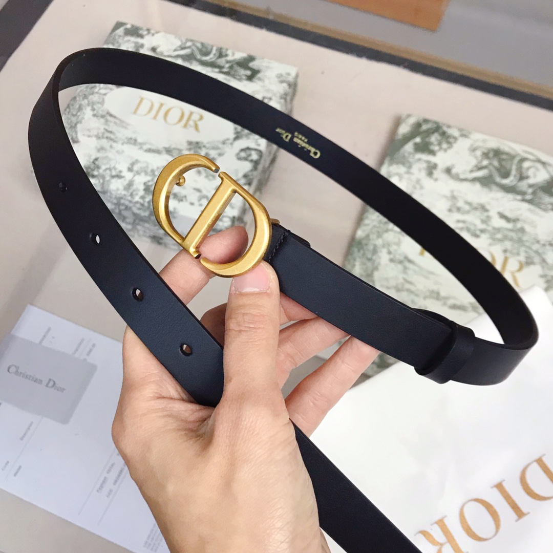 Dior迪奧明星同款 💫官網系列 明星走秀款 全力打造精緻優雅心備佳品，五金採用精湛的處理工藝，進口貴族