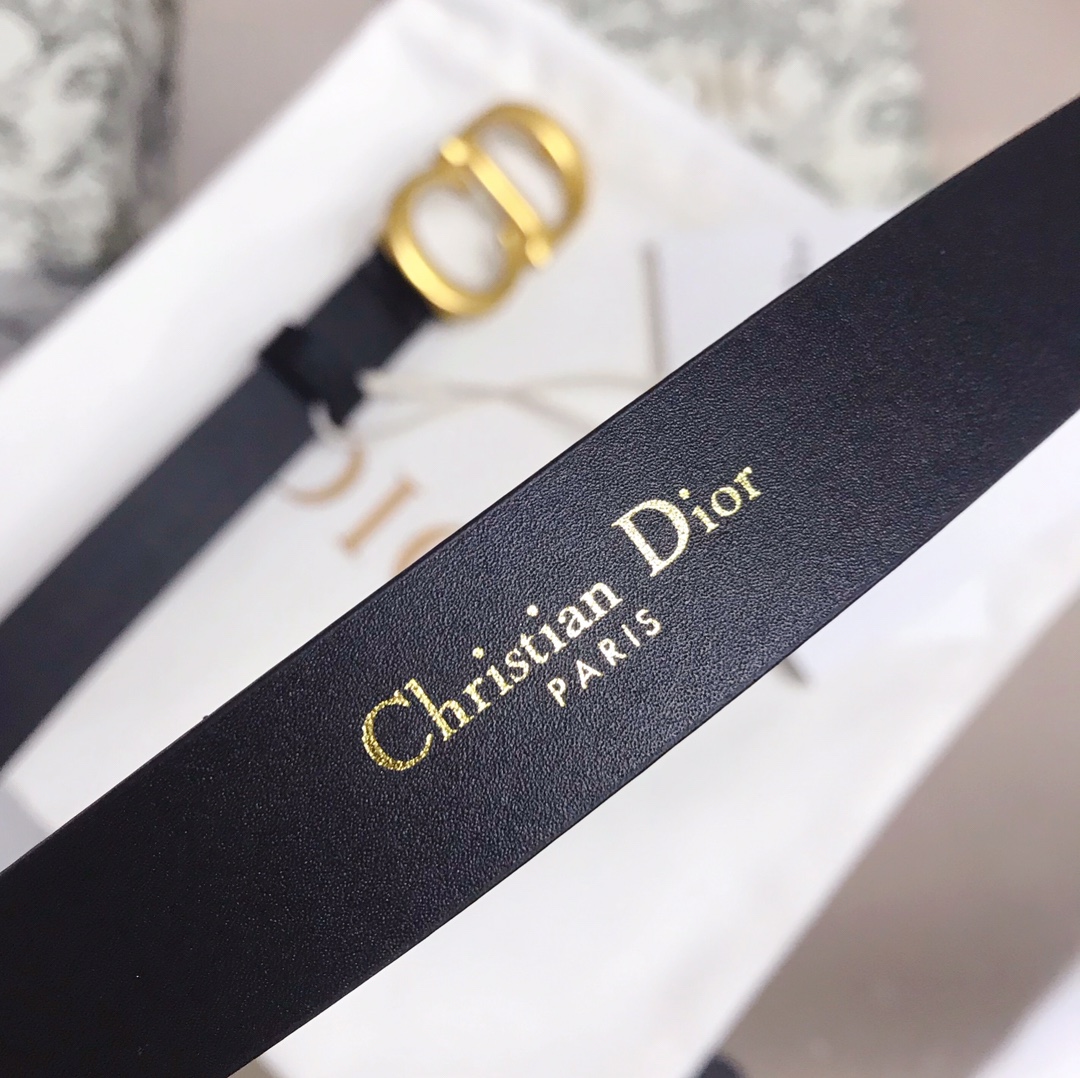 Dior迪奧明星同款 💫官網系列 明星走秀款 全力打造精緻優雅心備佳品，五金採用精湛的處理工藝，進口貴族