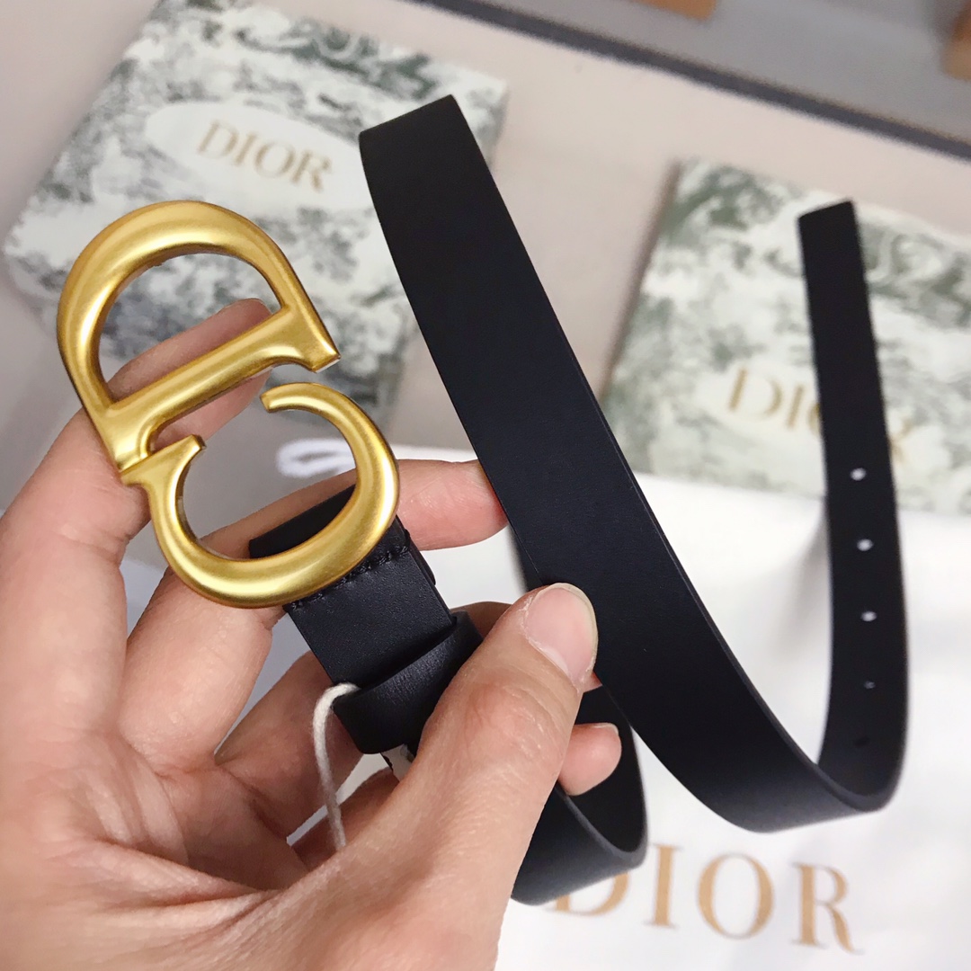 Dior迪奧明星同款 💫官網系列 明星走秀款 全力打造精緻優雅心備佳品，五金採用精湛的處理工藝，進口貴族