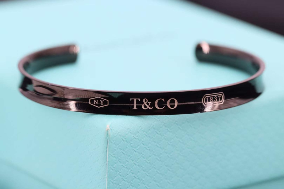 Tiffany & Co. 蒂芙尼Tiffany 1837黑色钛金情侣手镯 浪漫520情人节之礼…
