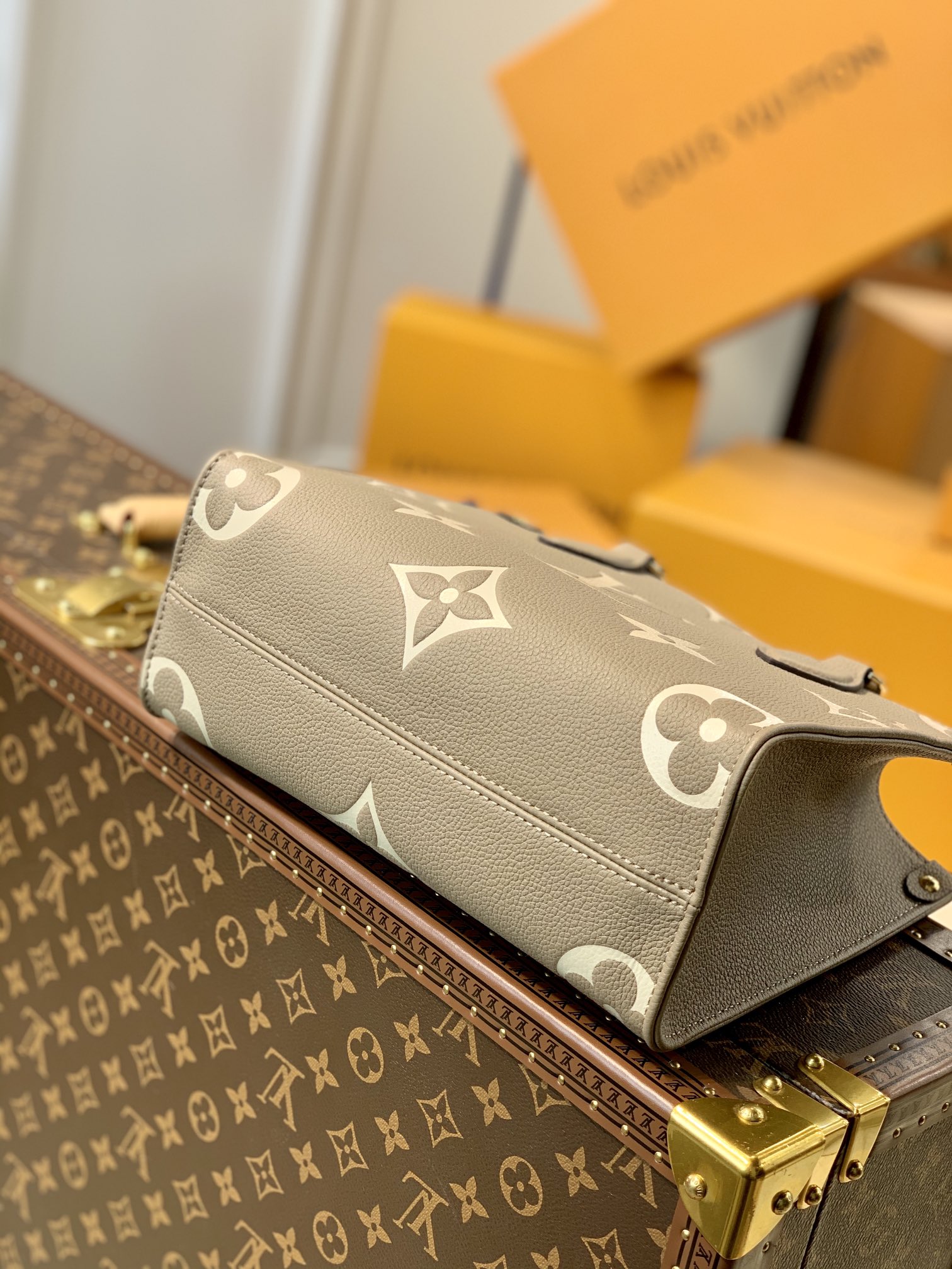 Louis Vuitton LV Onthego PM Tote M45779