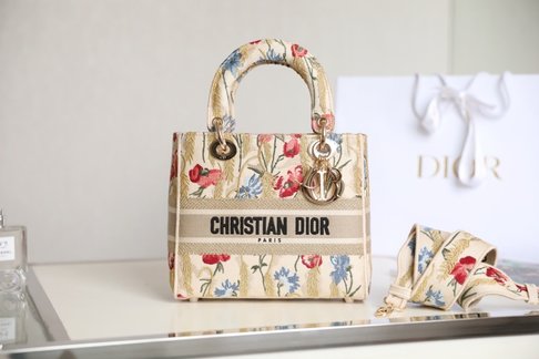 Dior Bags Handbags Knockoff Highest Quality Beige Gold Embroidery Canvas Lady