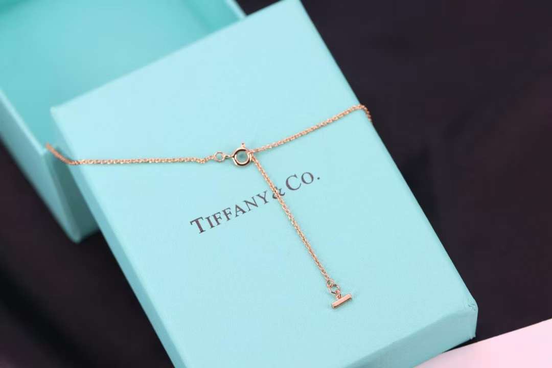 Tiffany & Co. Tiffany&Co. 2020新款TWO圆圈双T项链