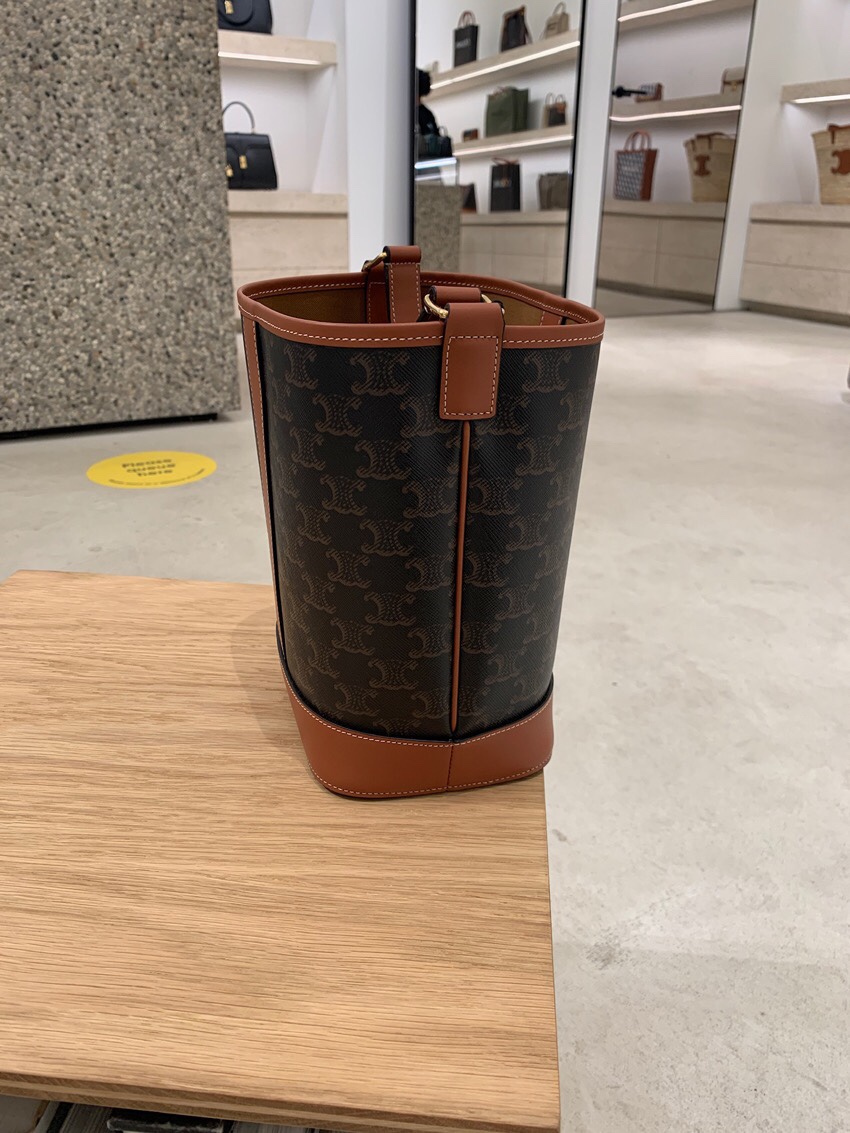 Triomphe Canvas Bucket Bag - Comprehensive 4