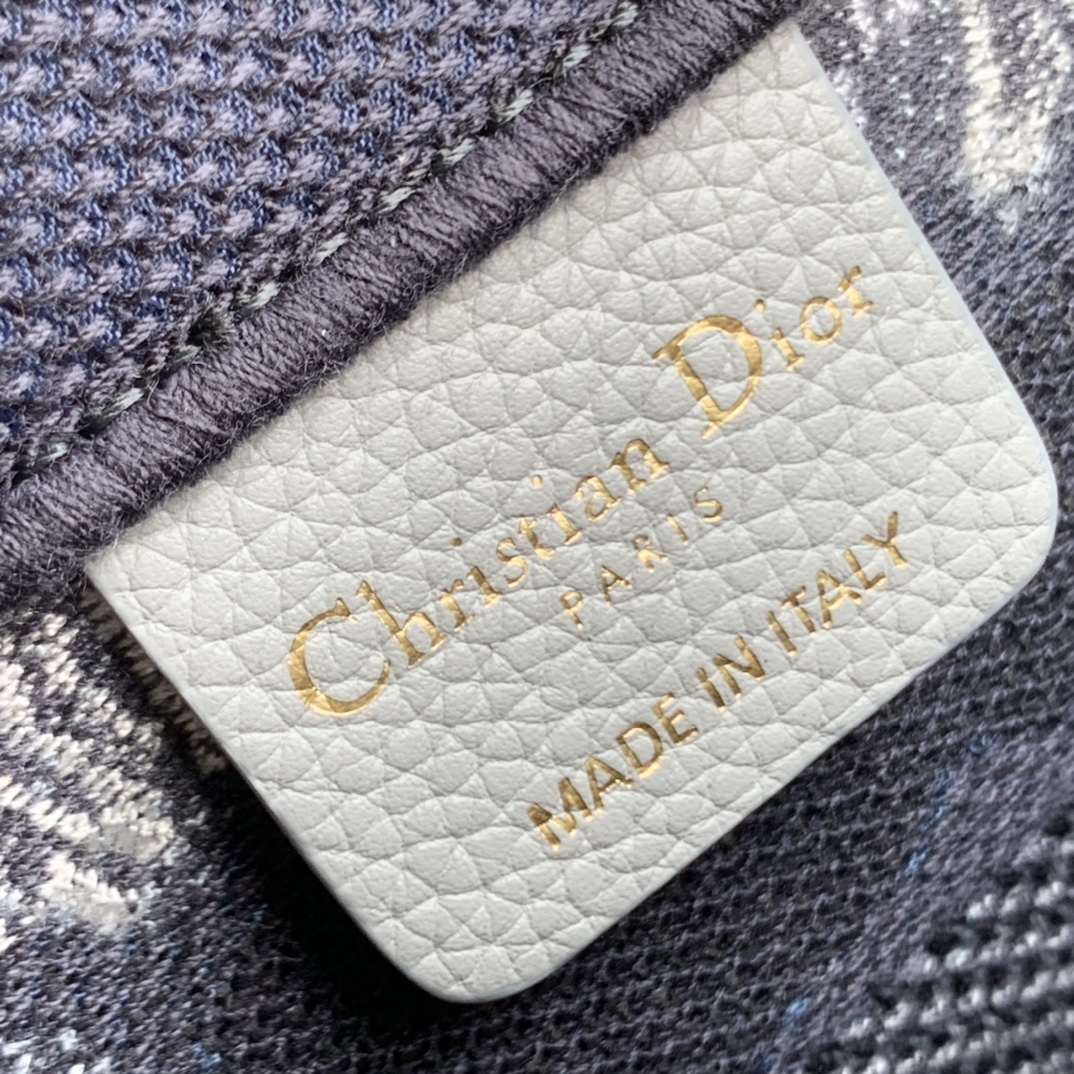 Zimbabwe Top Mass: Dior’s Latest Color Shopping Bag Collection - 图片 9