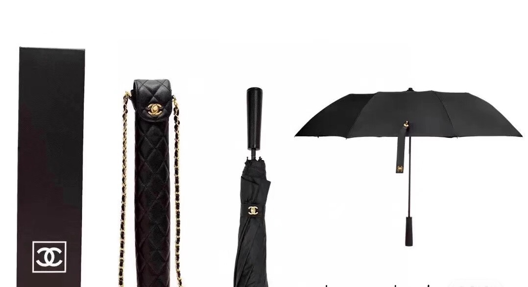 Chanel Luxury Handbag Collection 6