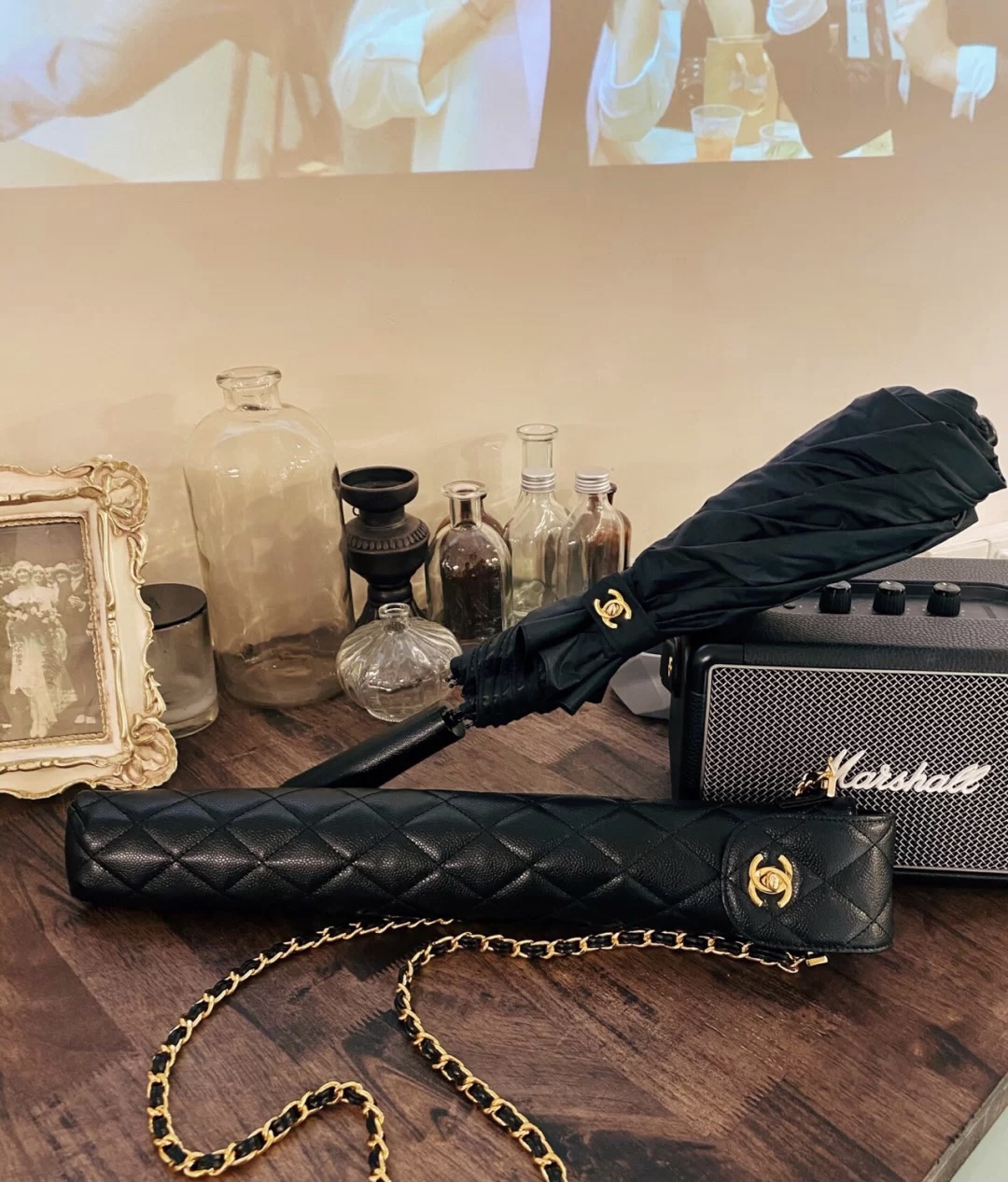 Chanel Luxury Handbag Collection 8