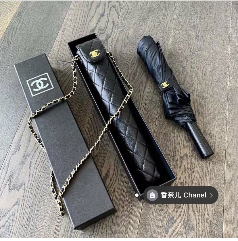 Chanel Luxury Handbag Collection 7