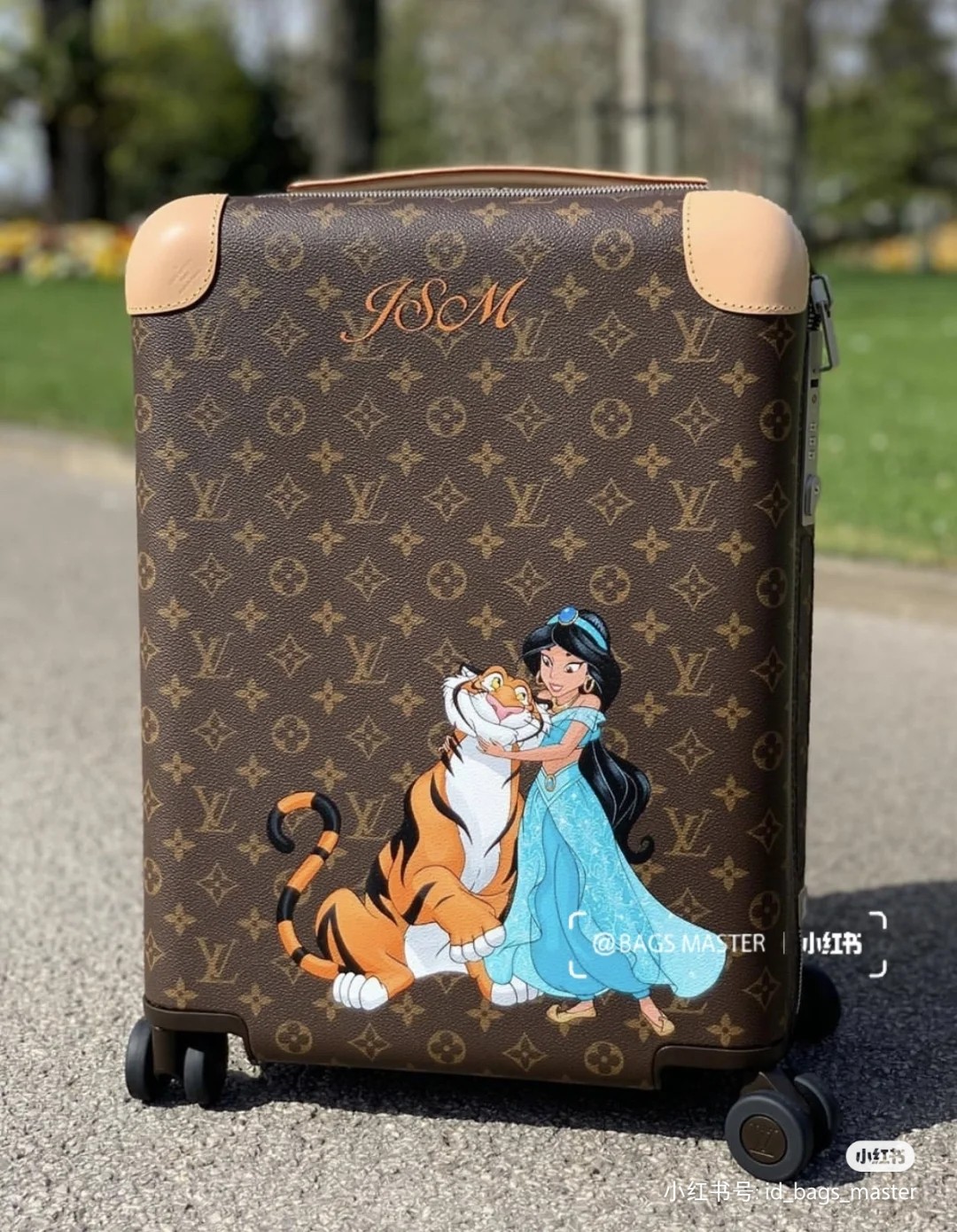 Serie de pintura personalizada de la Princesa Jazmín 👸LV y Vivienne son definitivamente el regalo personalizado de máx…