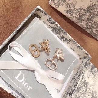 Dior Jewelry Earring 925 Silver