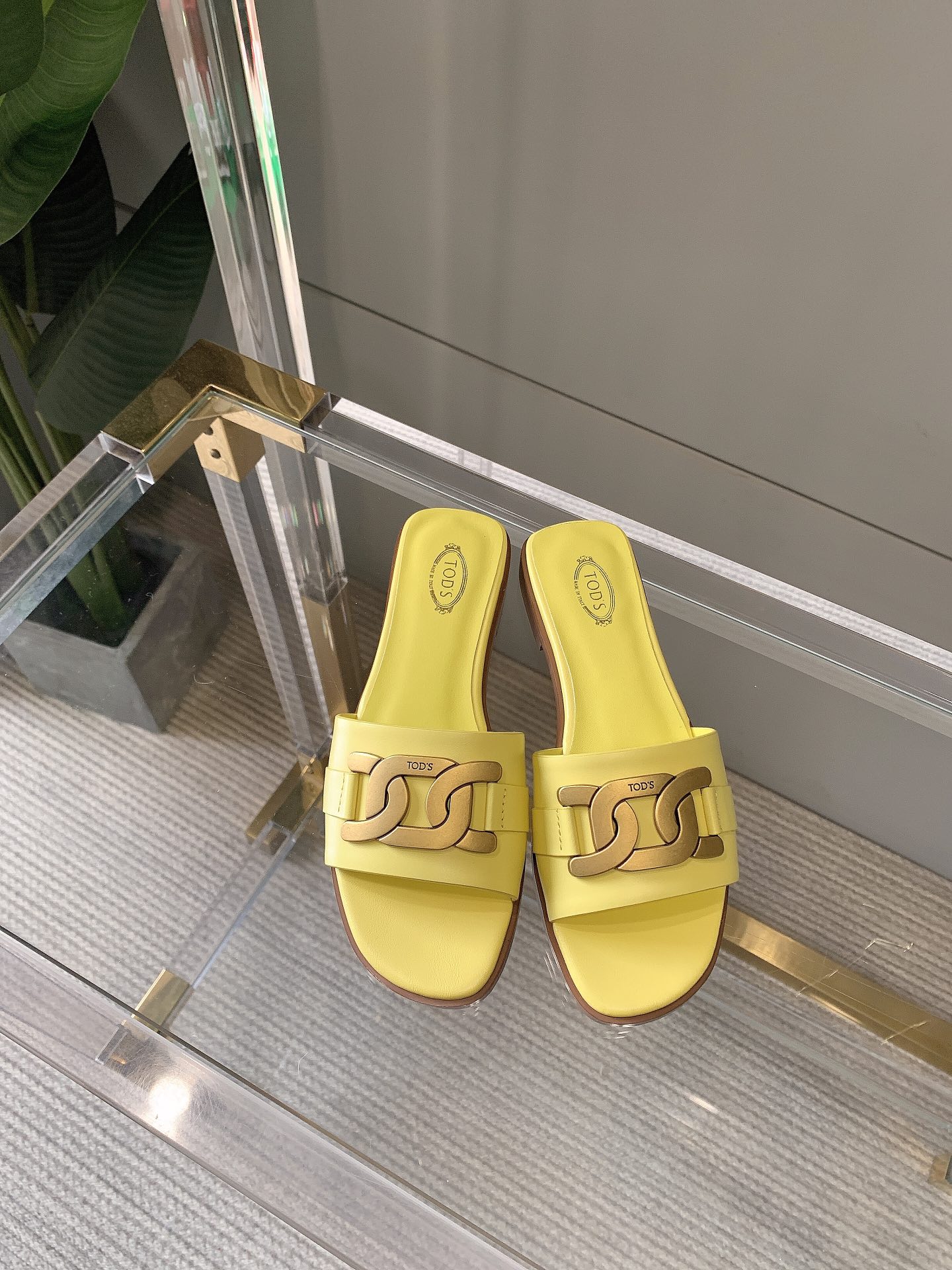 [TODS Women