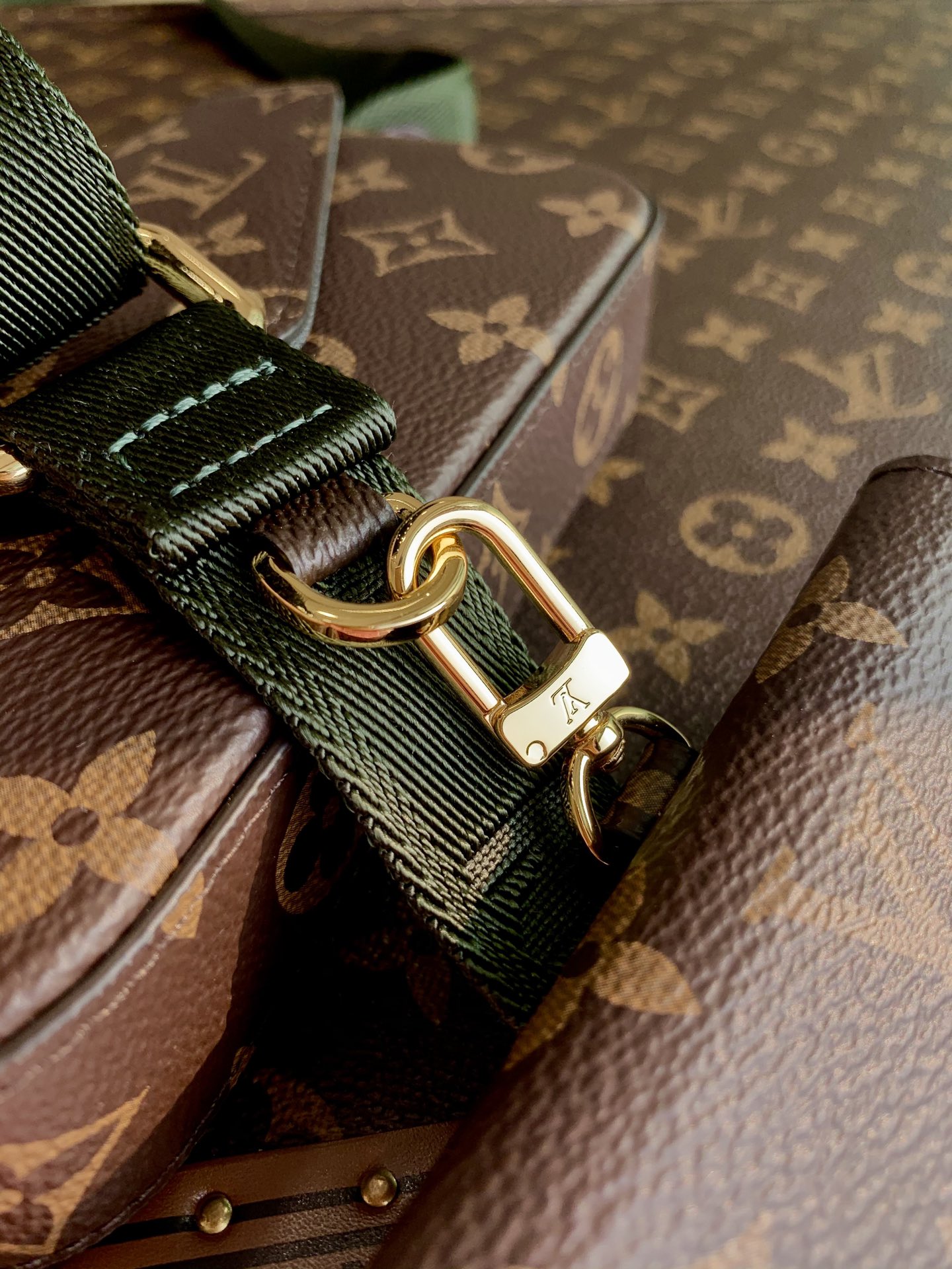 Louis Vuitton LV Félicie Strap & Go bag M80091