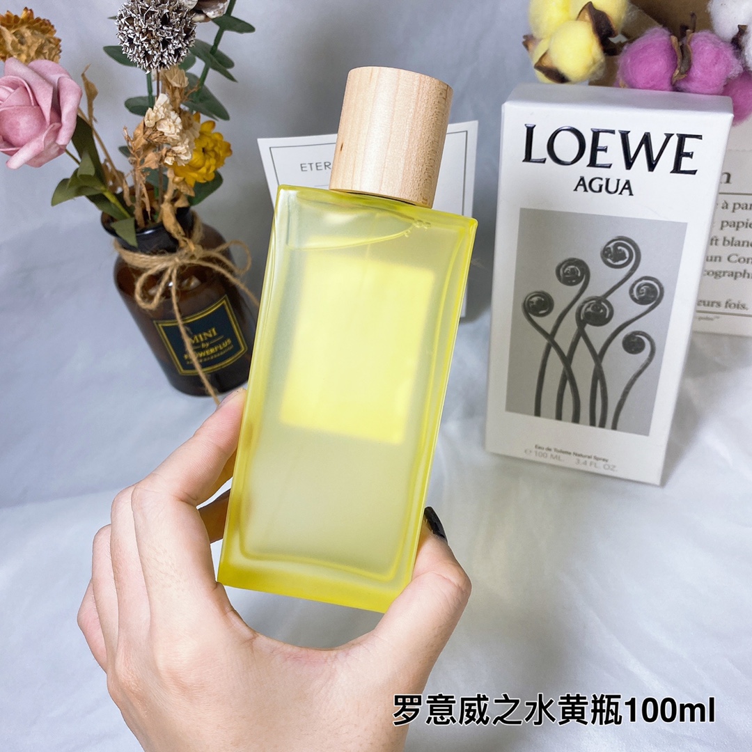 Loewe Agua Eau de Toilette - 100ml - A Citrus & Woody Fragrance for Women 5 i1616251663 2095 3