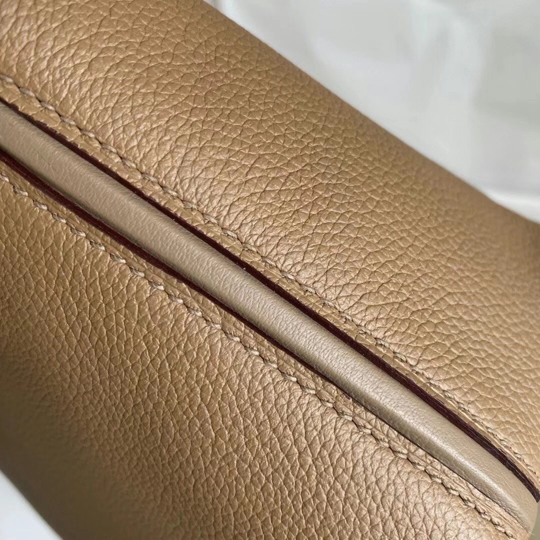 Mini 2424 Evercolor Bag, Stylish Handbag with Multiple Carrying Options 5 i1616393920 6225 4