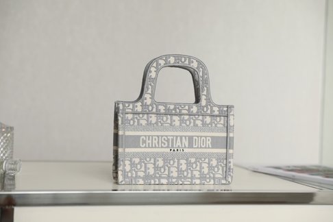Dior Book Tote Handbags Mini Bags Tote Bags Grey Embroidery Spring/Summer Collection Mini