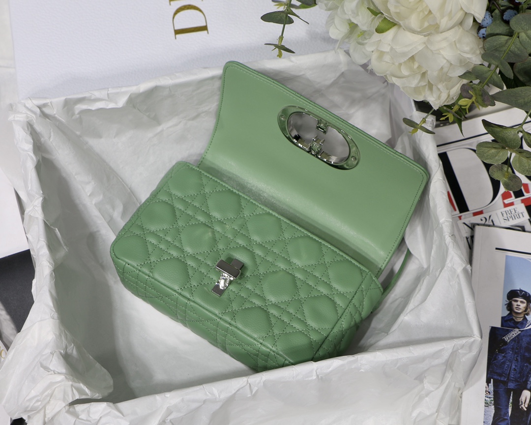 디올 155118 가방 Dior Bag 상세 이미지 7