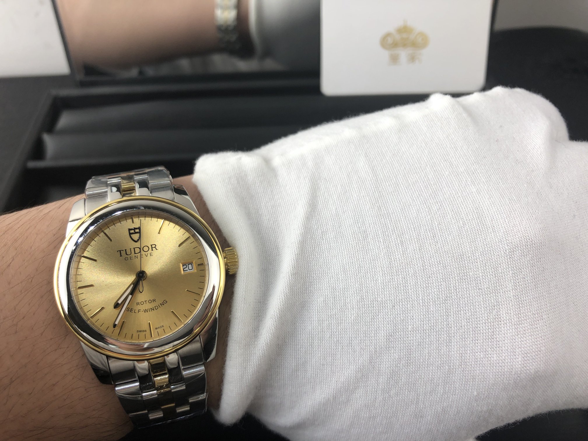 Tudor 皇家 帝舵间金男表