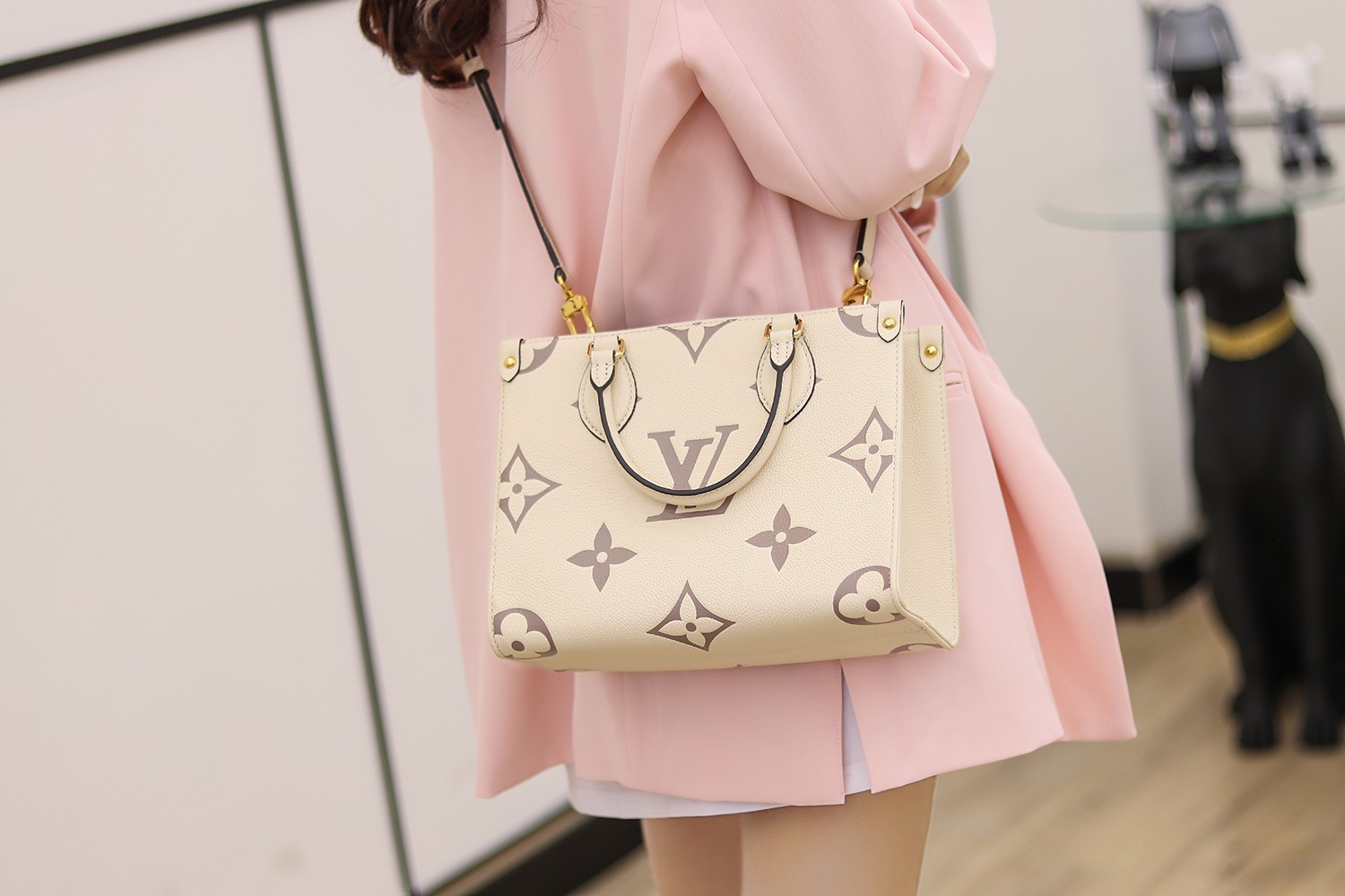 Louis Vuitton LV OnTheGo PM Bag M45654