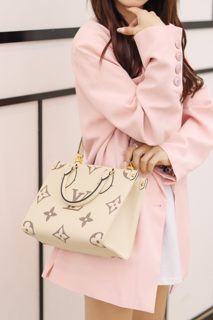 Louis Vuitton LV OnTheGo PM Bag M45654