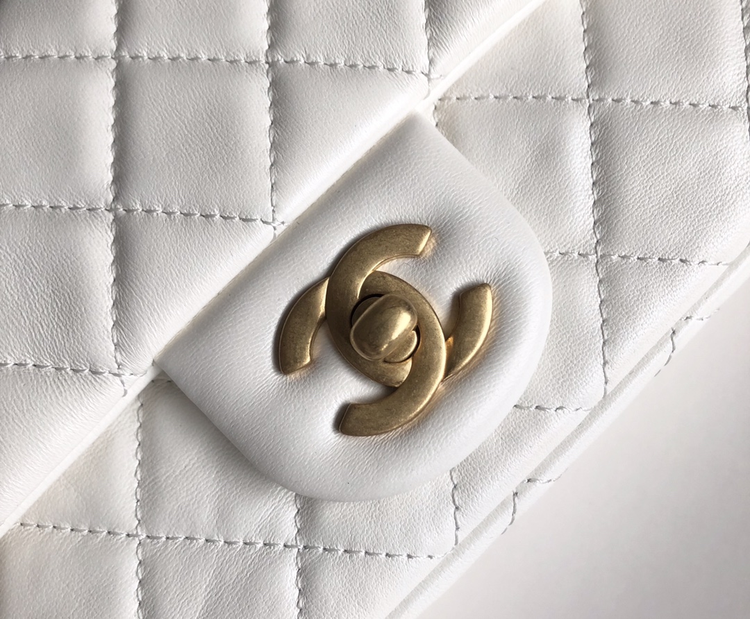 Chanel Luxury Handbag Collection 5