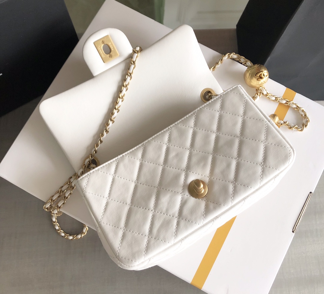 Chanel Luxury Handbag Collection 6