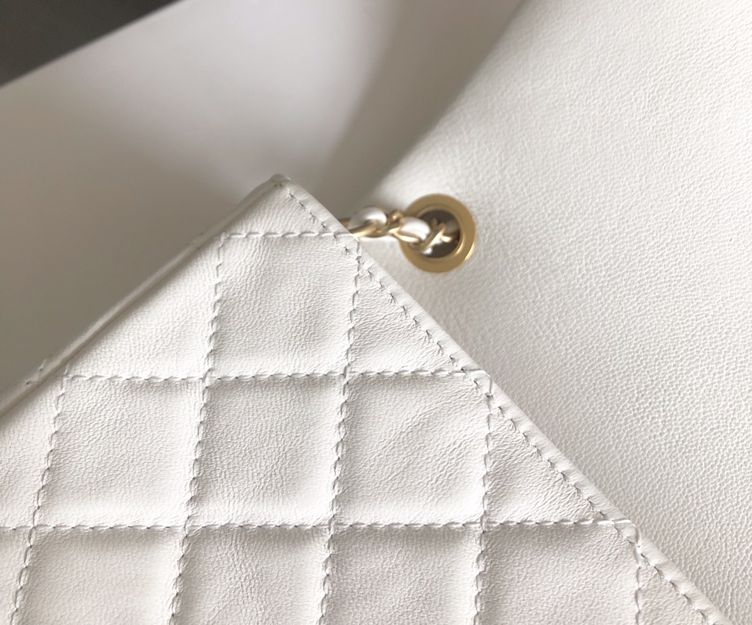 Chanel Luxury Handbag Collection 9