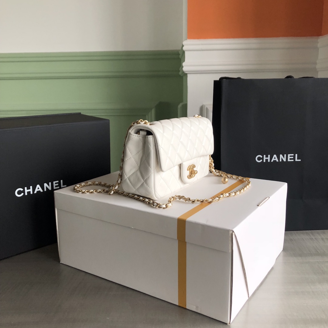 Chanel Luxury Handbag Collection 3