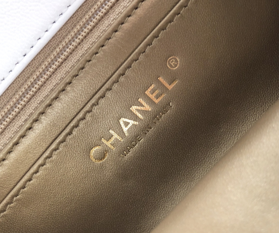 Chanel Luxury Handbag Collection 8