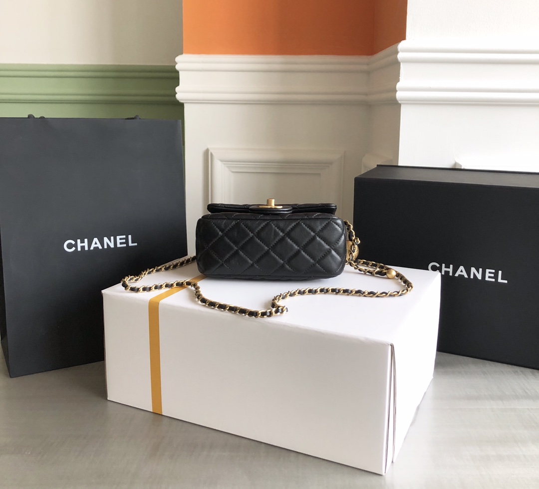 Chanel Luxury Handbag Collection 4