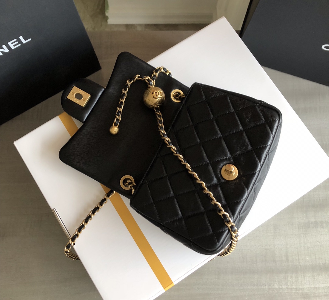 Chanel Luxury Handbag Collection 6