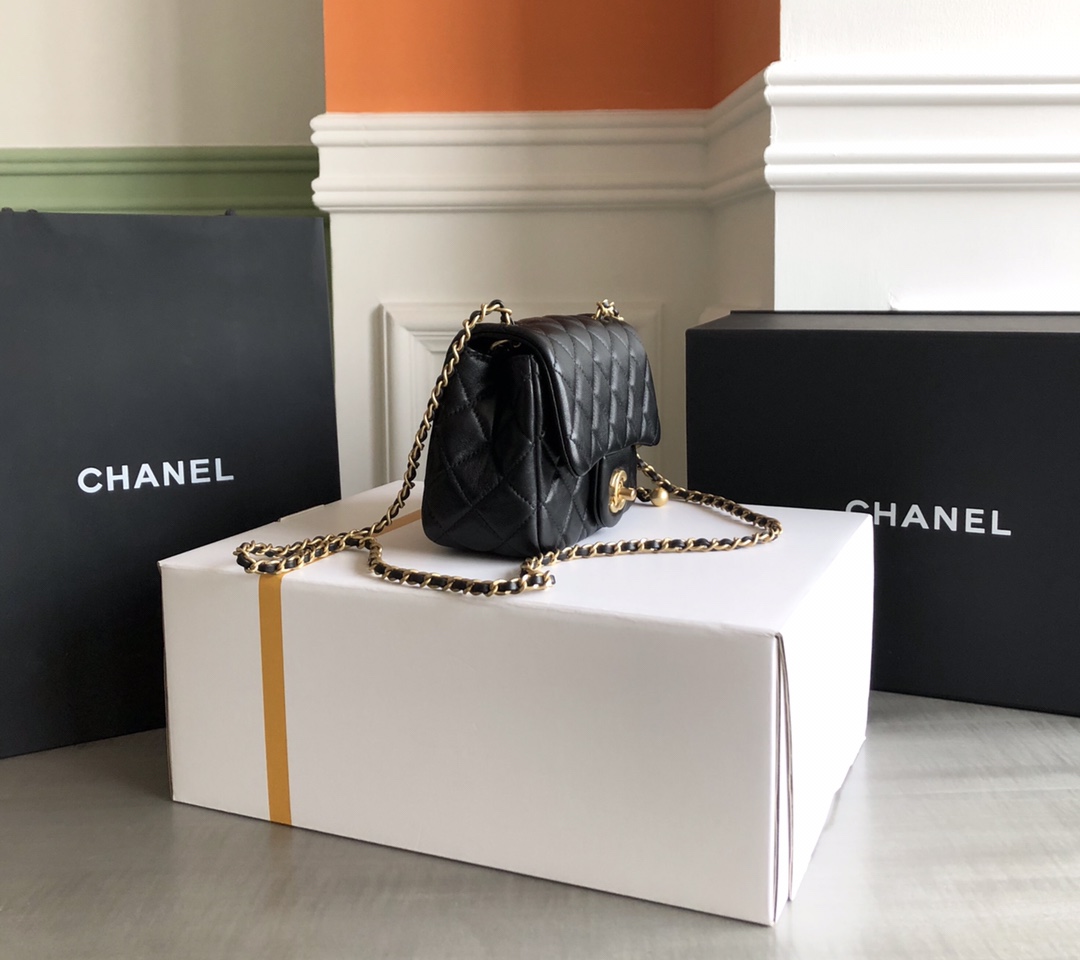 Chanel Luxury Handbag Collection 3