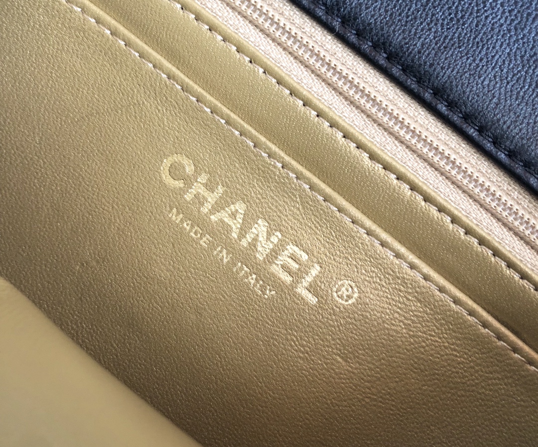 Chanel Luxury Handbag Collection 8