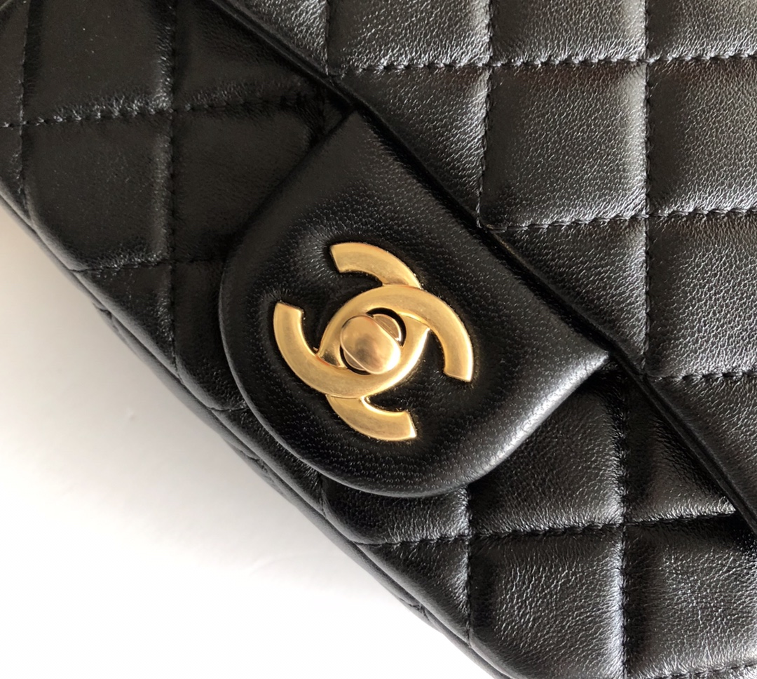 Chanel Luxury Handbag Collection 5