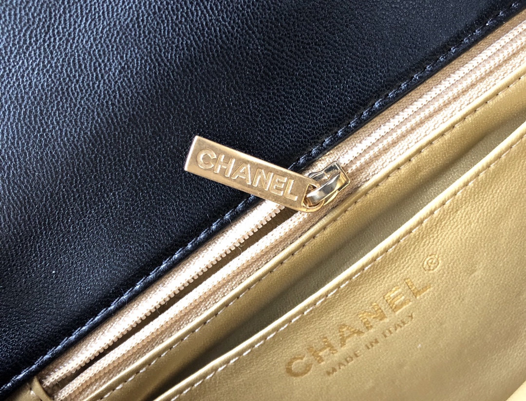 Chanel Luxury Handbag Collection 7