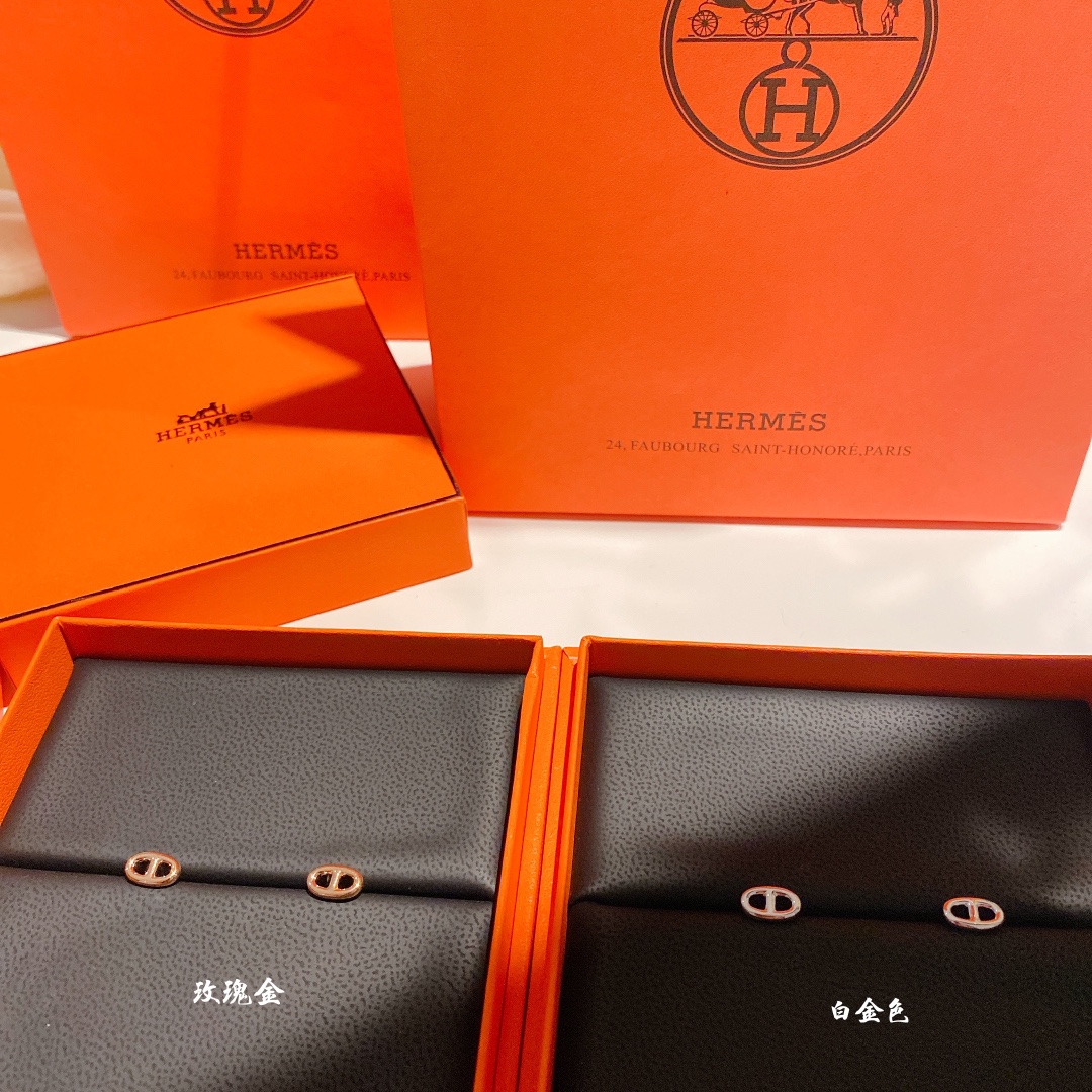 Hermes Jewelry Earring